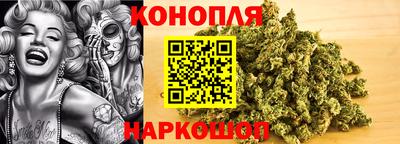 a pvp Будённовск
