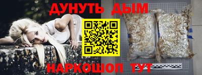 a pvp Будённовск