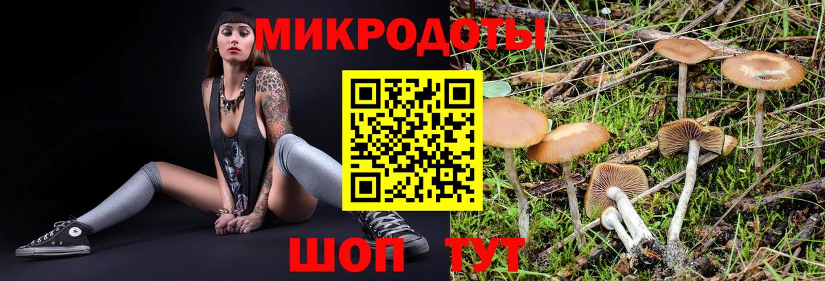 Галлюциногенные грибы мухоморы  Вход с VPN  Луга 