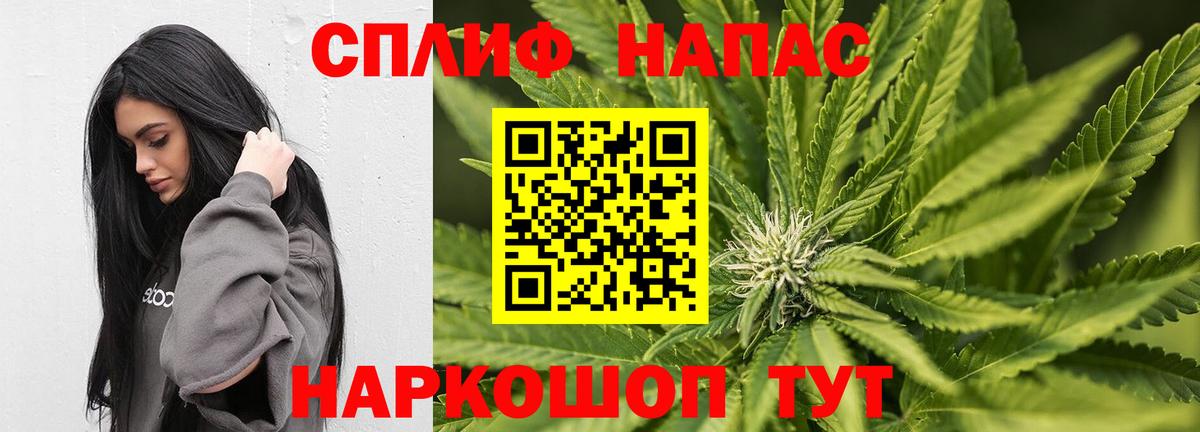 МАРИХУАНА ГИДРОПОН Луга